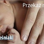 Entrega Pół kg ulotek na konferencję o żywieniu niemowląt